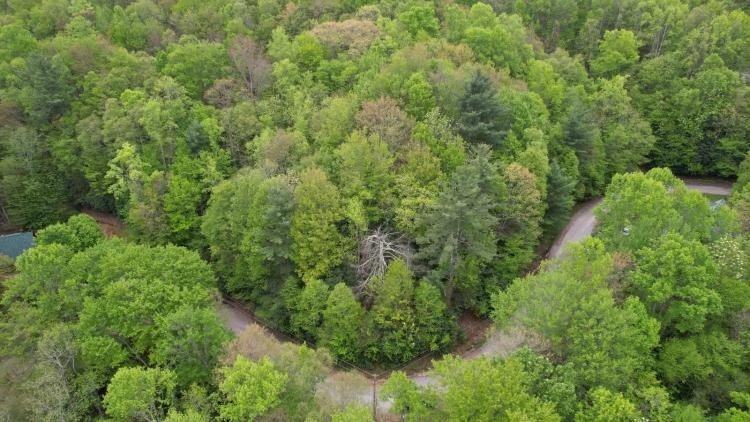 Beech Mountain Lot w/ Utilities Near Buckeye Rec &amp; Ski Slopes