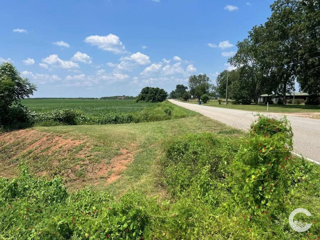 226 +/- Acre Investment Opportunity in Brewton, AL