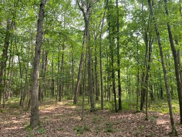 27.71 Acres at 505 Yates Lane