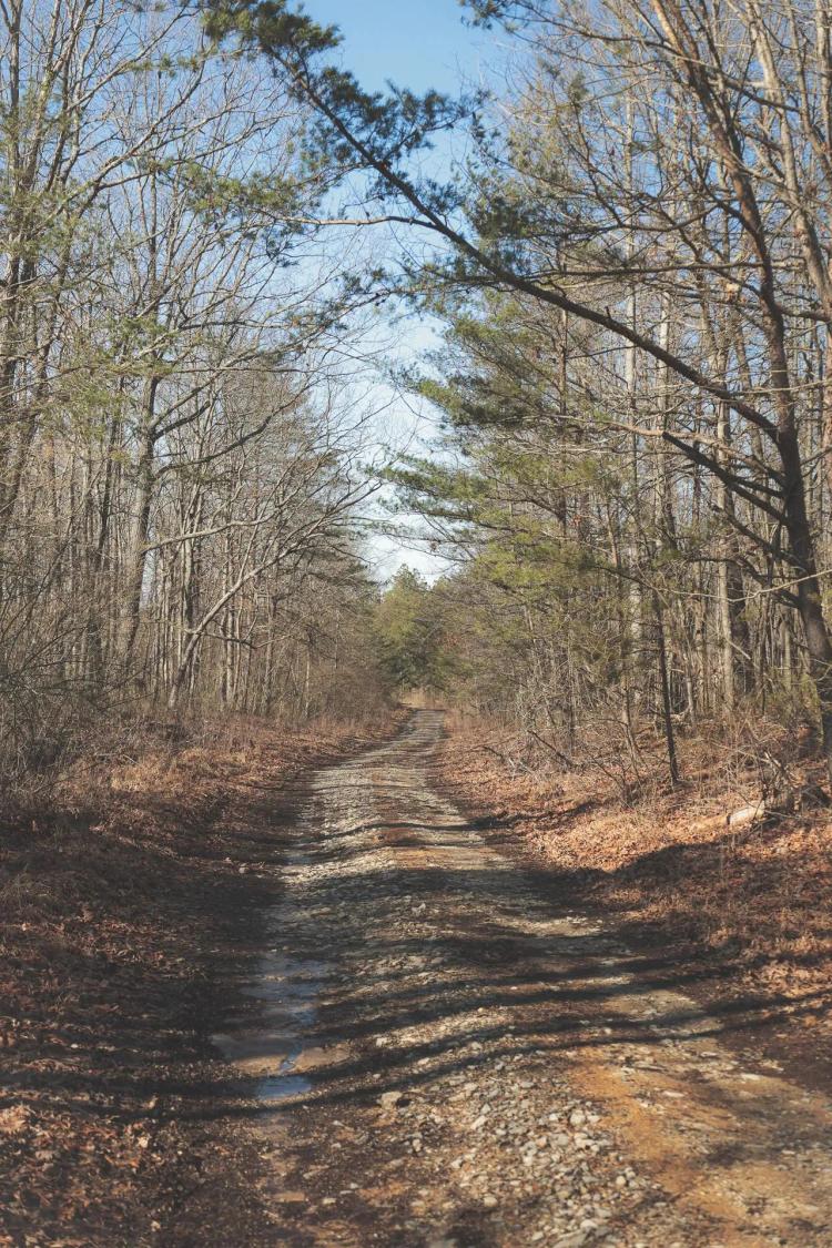 9.4 Acres in Marion County, TN