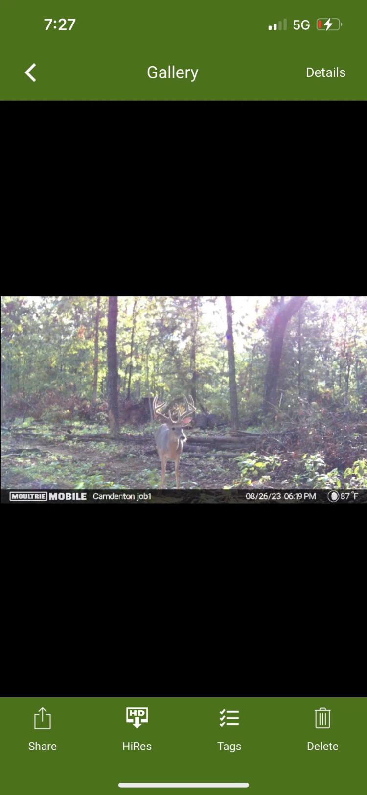 84 Acre Great Hunting Tract in Camden County Mo