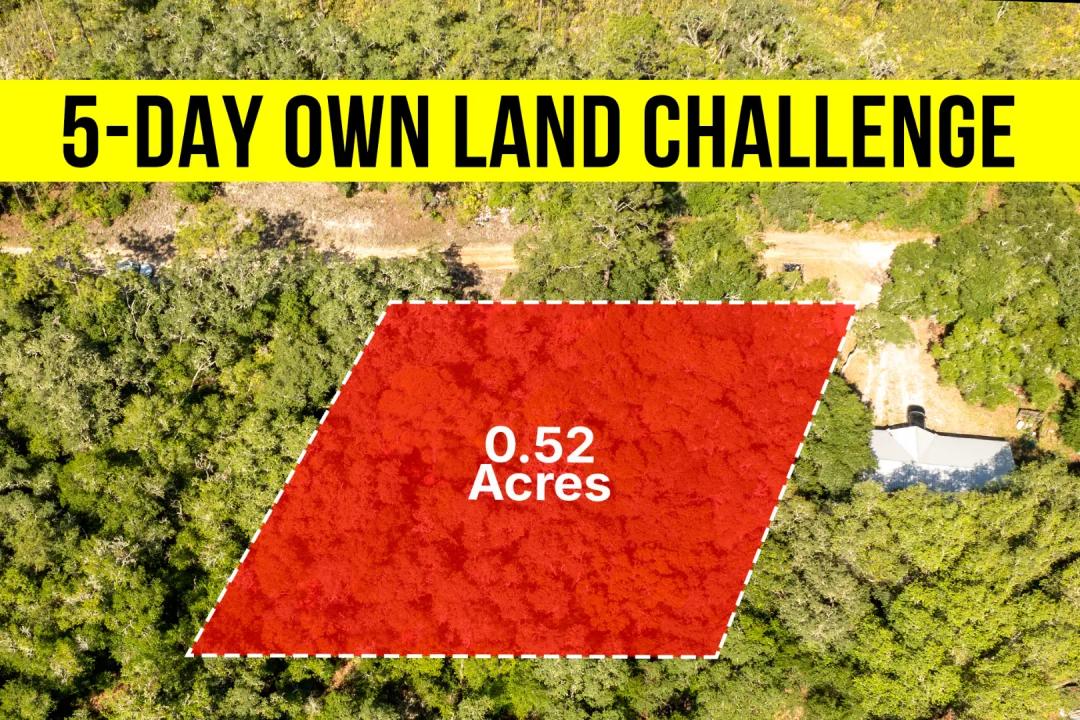 Own A 0.52-Acre No HOA, Wooded Lot In FL - Owner Financing