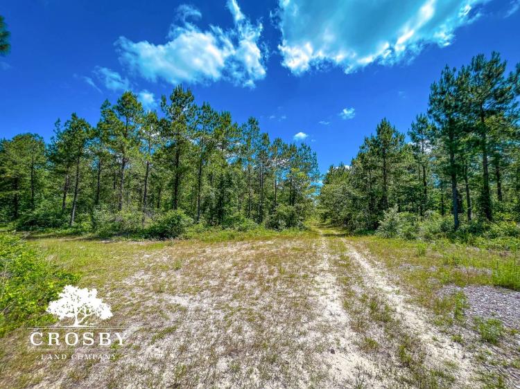 297.00 Acres at 0 Lenards Drive