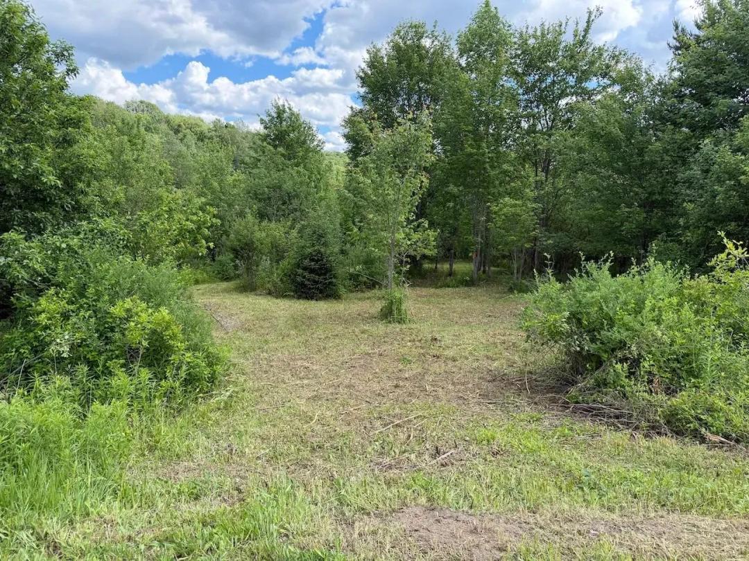 11 acres Hunting Land and Recreational Land with Creek in Franklinville NY Reynolds Road