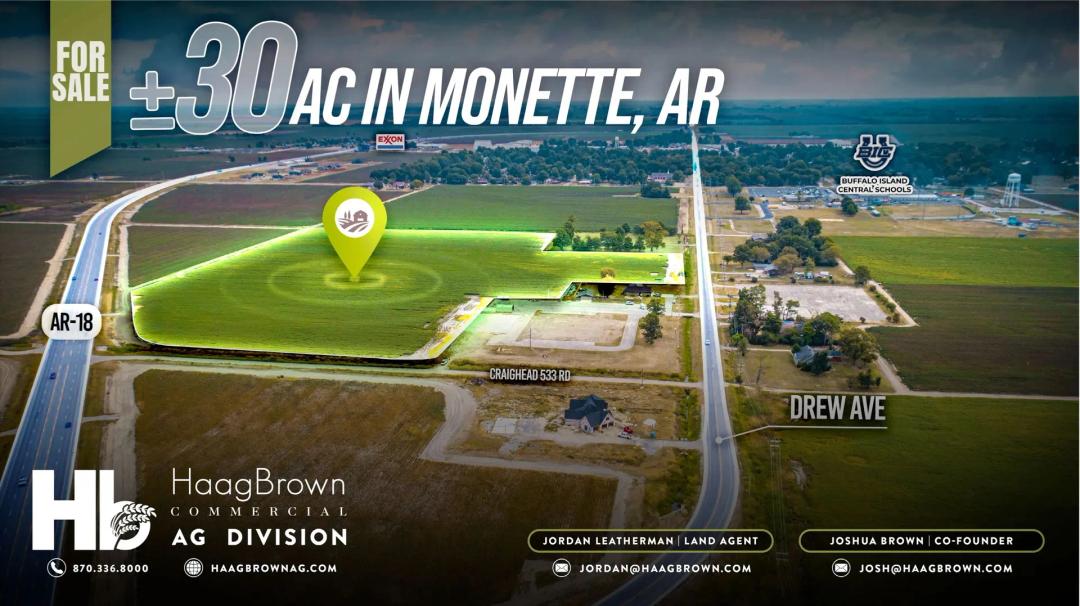 Monette 30