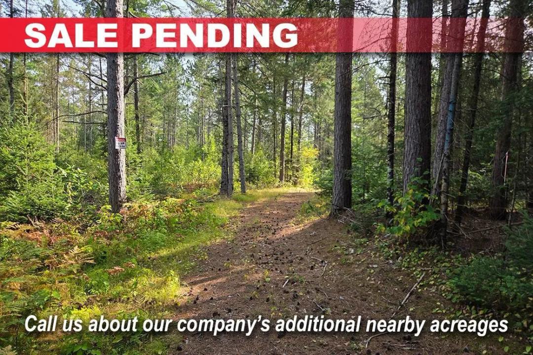 10 Wooded Acres Near Tomahawk WI - $86,900