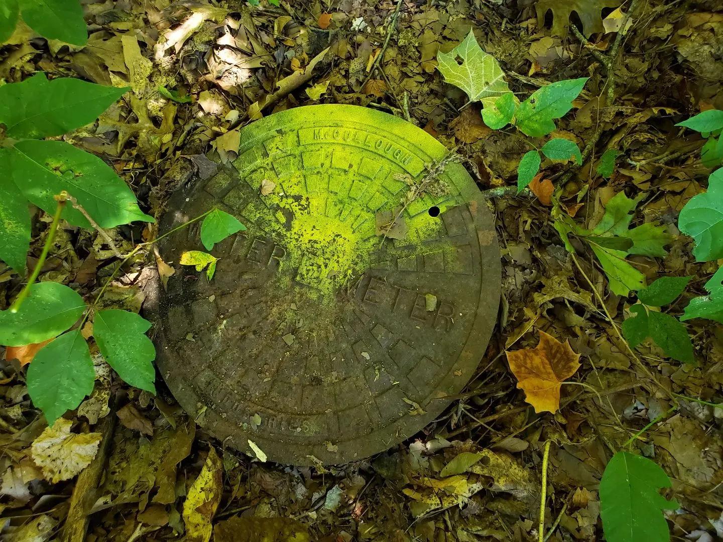 57163819-10