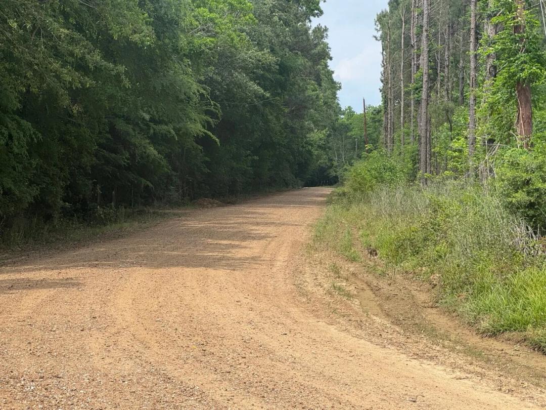32.00 Acres at 0 Warren Camp Road
