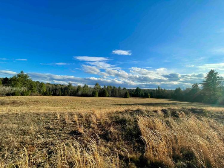 60 acres Woodlands and Open Meadows bordering Ulster Heights Lake in Ellenville NY Camp Road