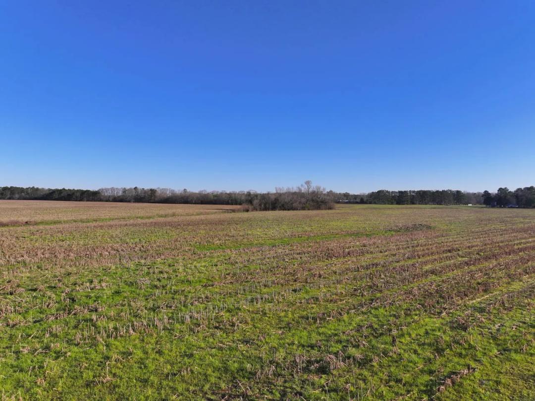 Beautiful home lot in Union Springs lot 6