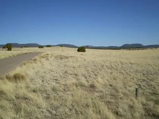 Wide Open Spaces Western New Mexico 25 miles SW Quemado County Road Access