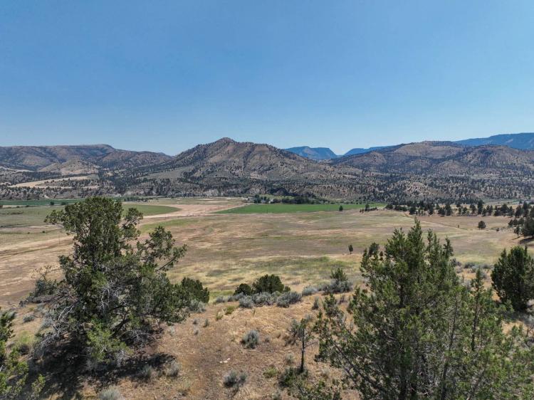 Eastern Oregon Highway 402 Acreage