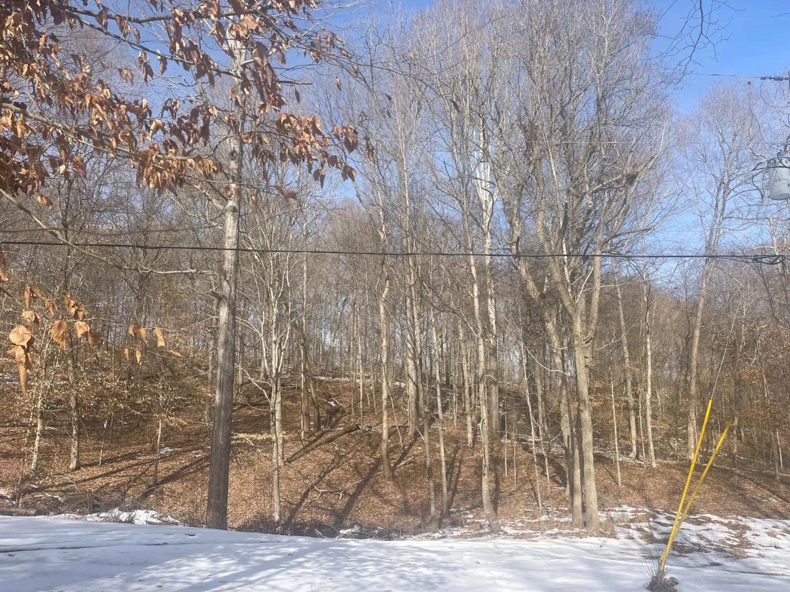 57288445-24