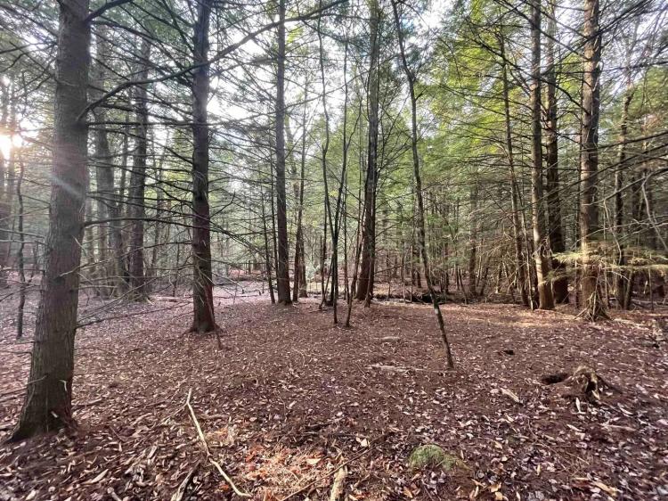 23 acres Woodlands and Recreational Land in Ellenville NY Camp Road