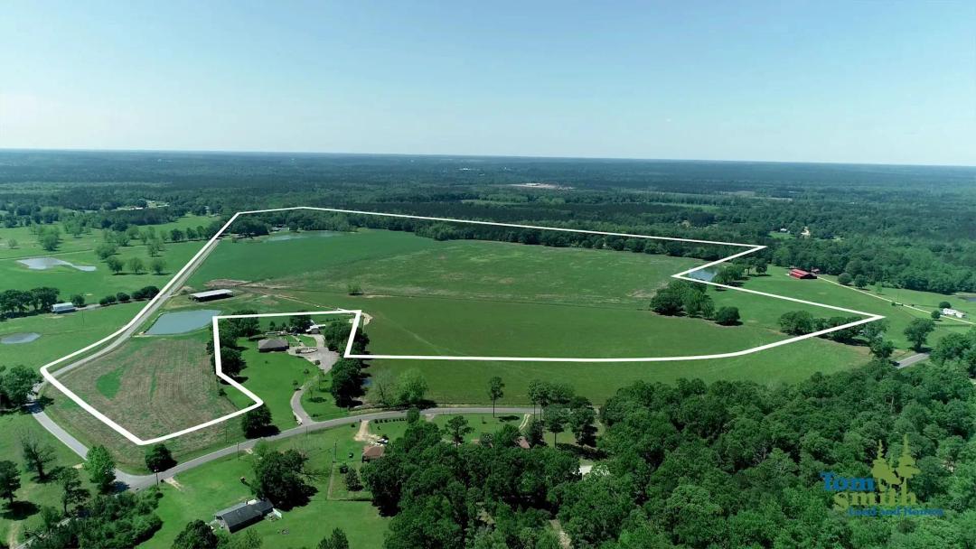 126 Acres in Stone County in Perkinston, MS