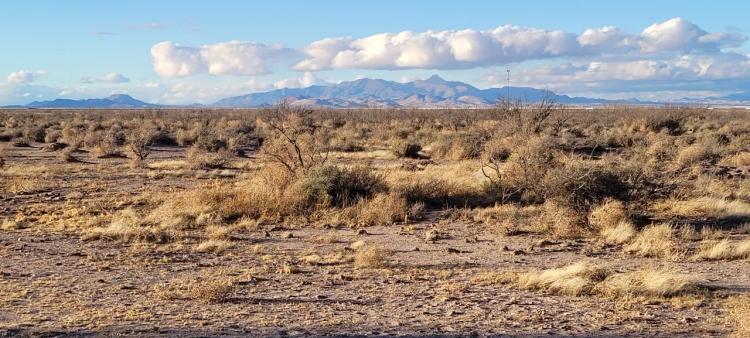1 acre Residential Lot - Houses Mobiles ok - Scenic New Mexico
