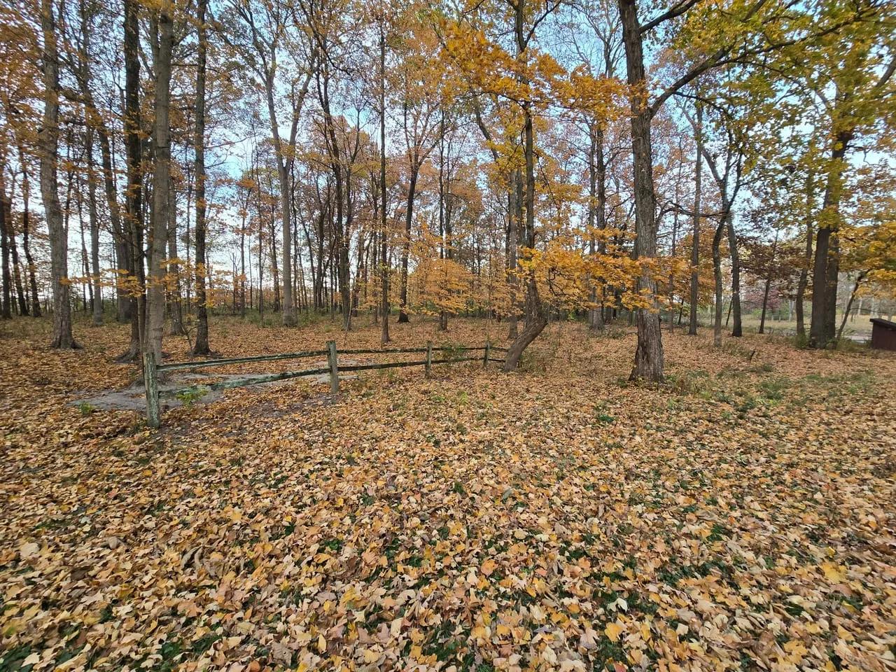 57330484-5
