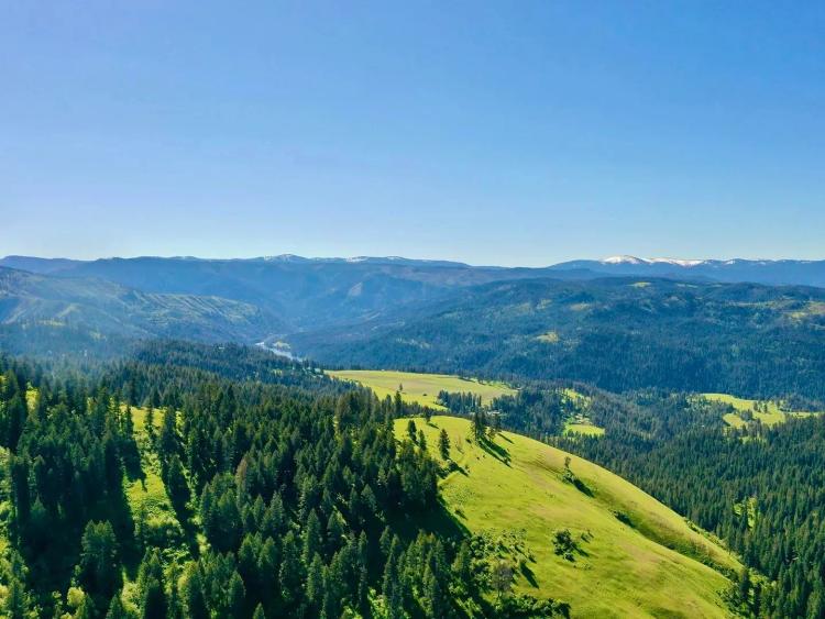 Henry Cattle Ranch