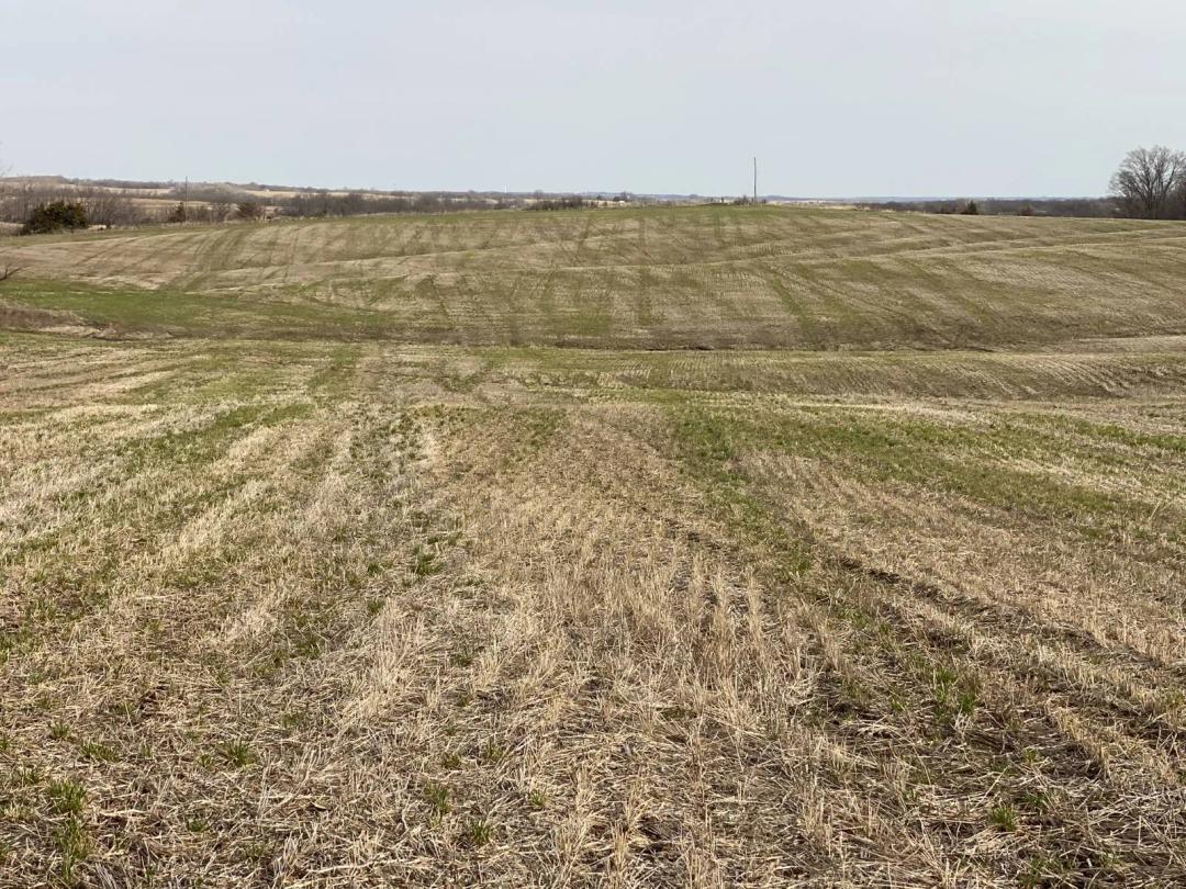77 ACRES