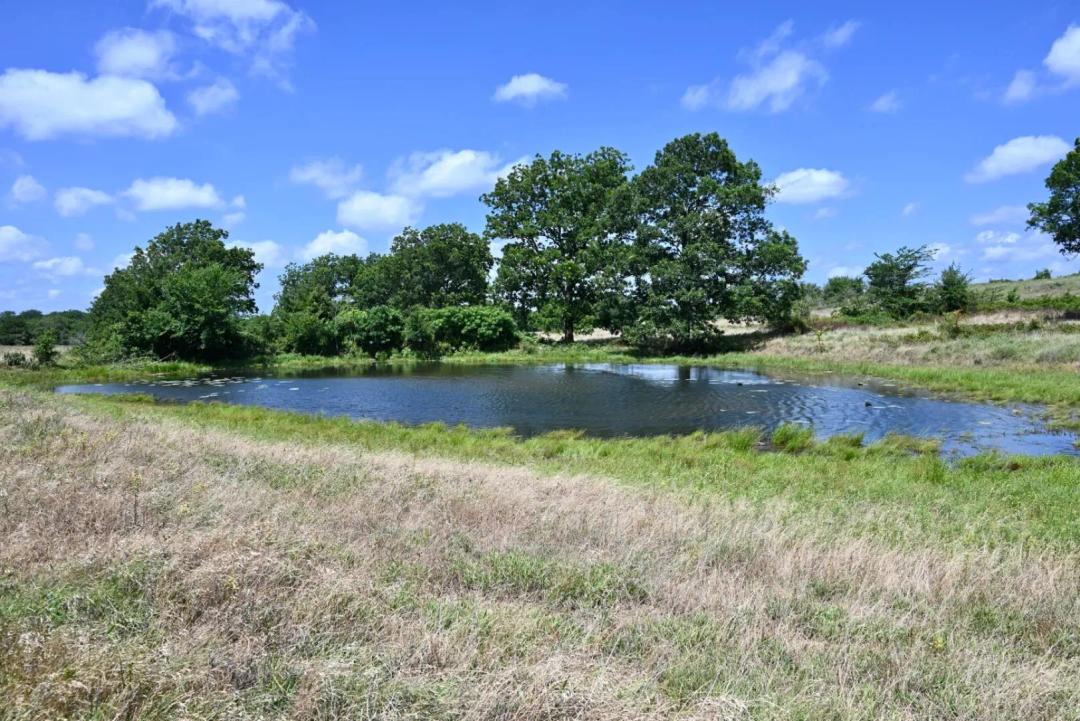 Walnut Creek Ranch 