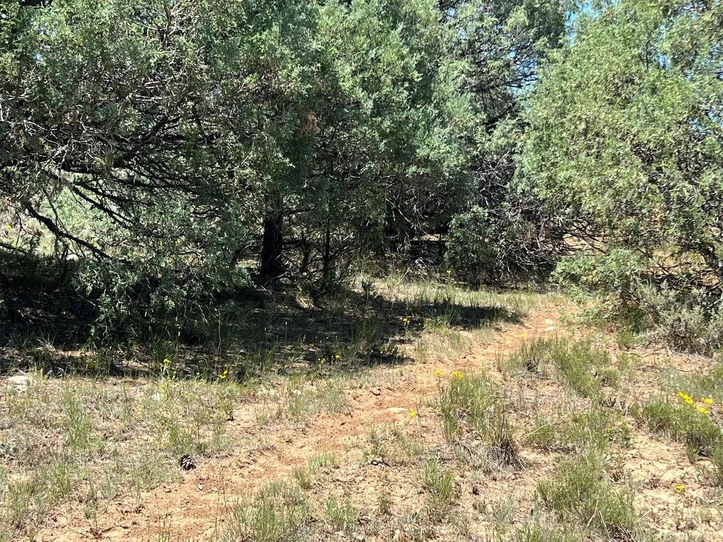 57369243-26