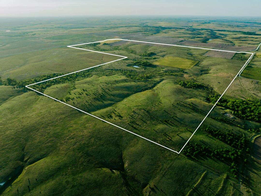 Darwin’s Pure Joy Pasture Cropland 469+-