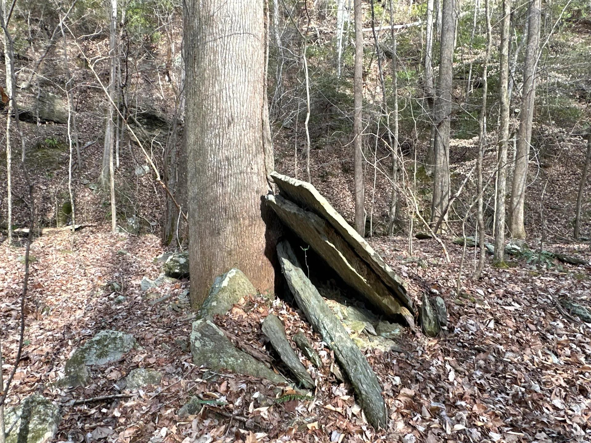 57391160-21