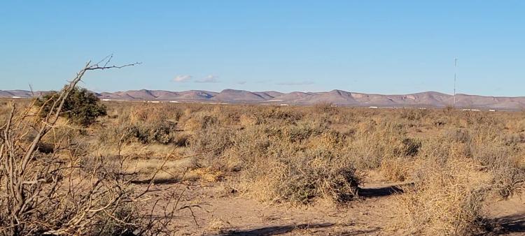 Deming New Mexico Land for sale - 3 adjoining 1/2 acre parcels
