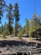 266 Ponderosa Dr, Leadville