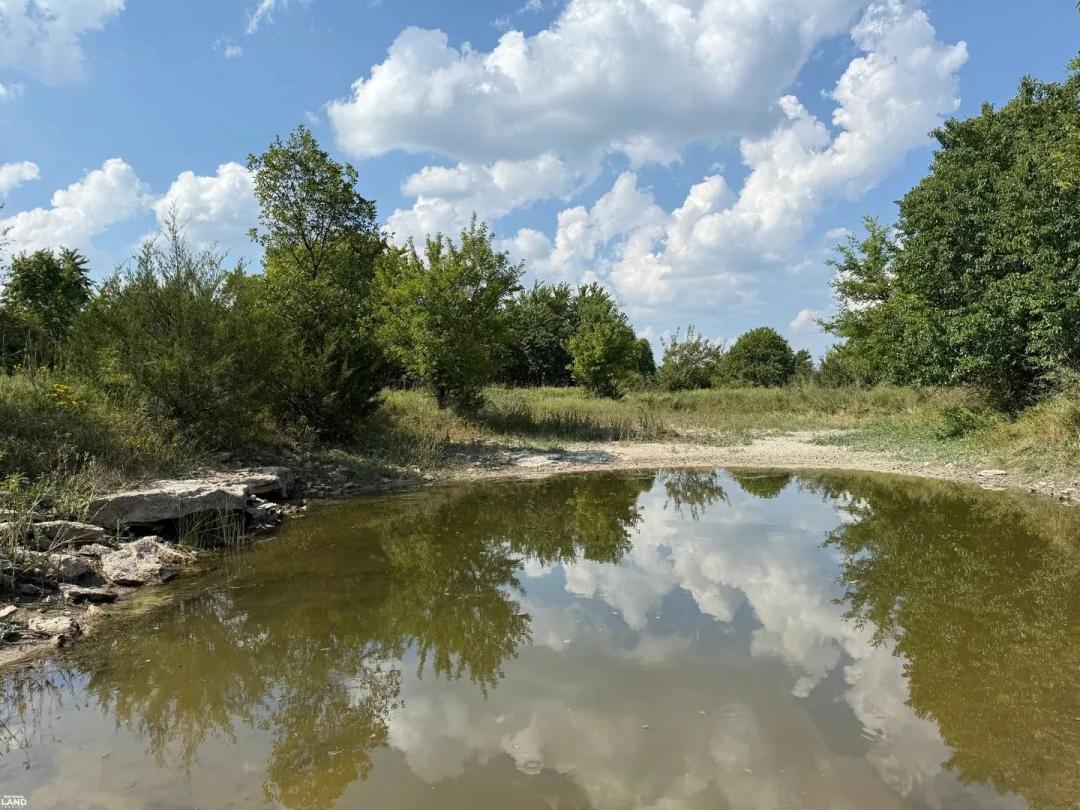 76 Acres - Pasture/Hunting