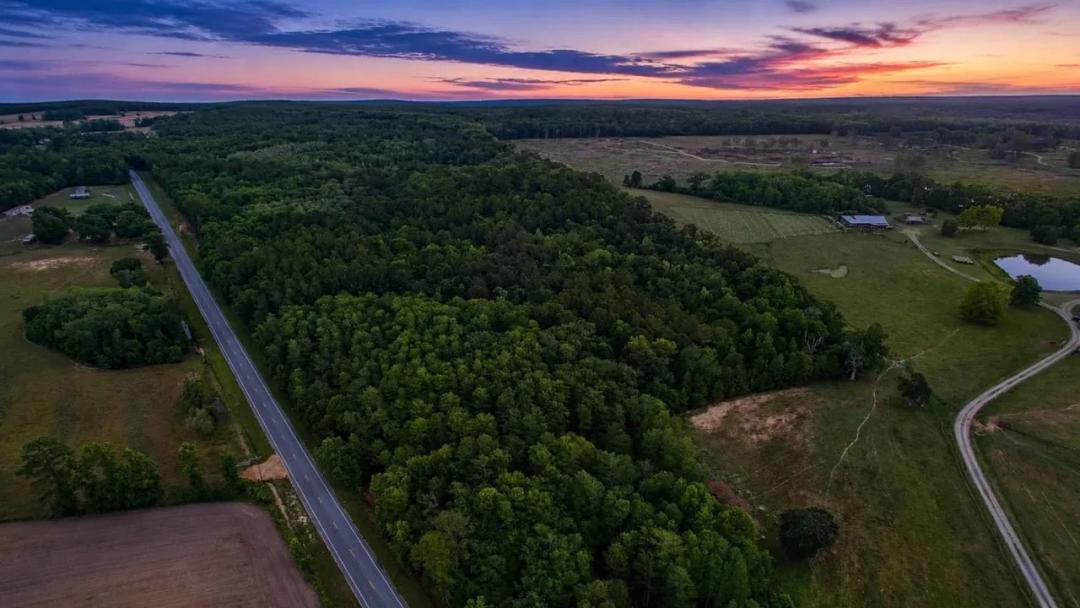 16 Acres of Holmes Co. Hardwoods