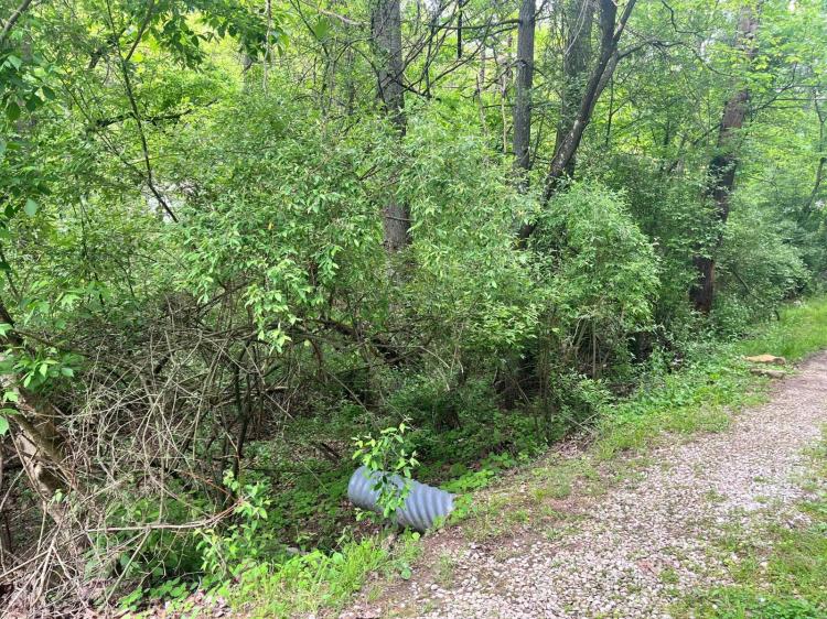 Nice Lot in Ranch Lake Estates Selling to the Highest Bidder
