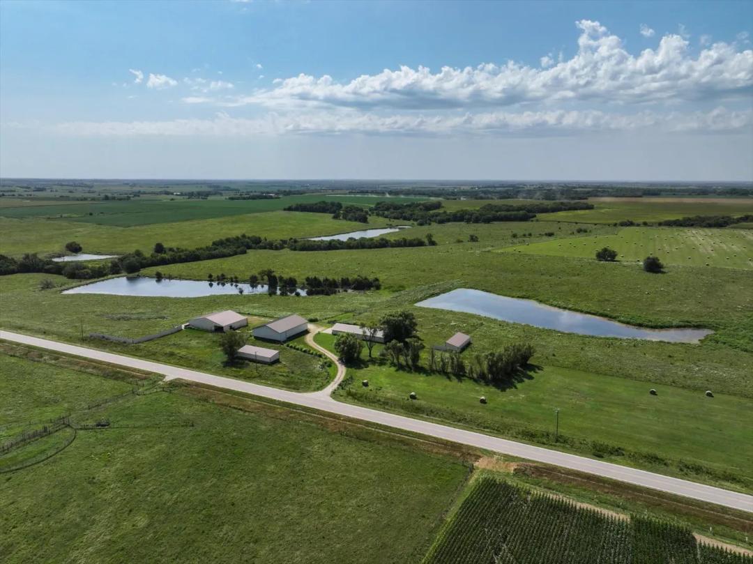 Cattle Farm