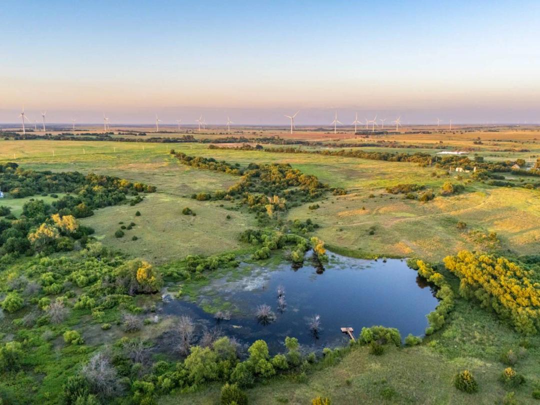 Pioneer Pond Farm