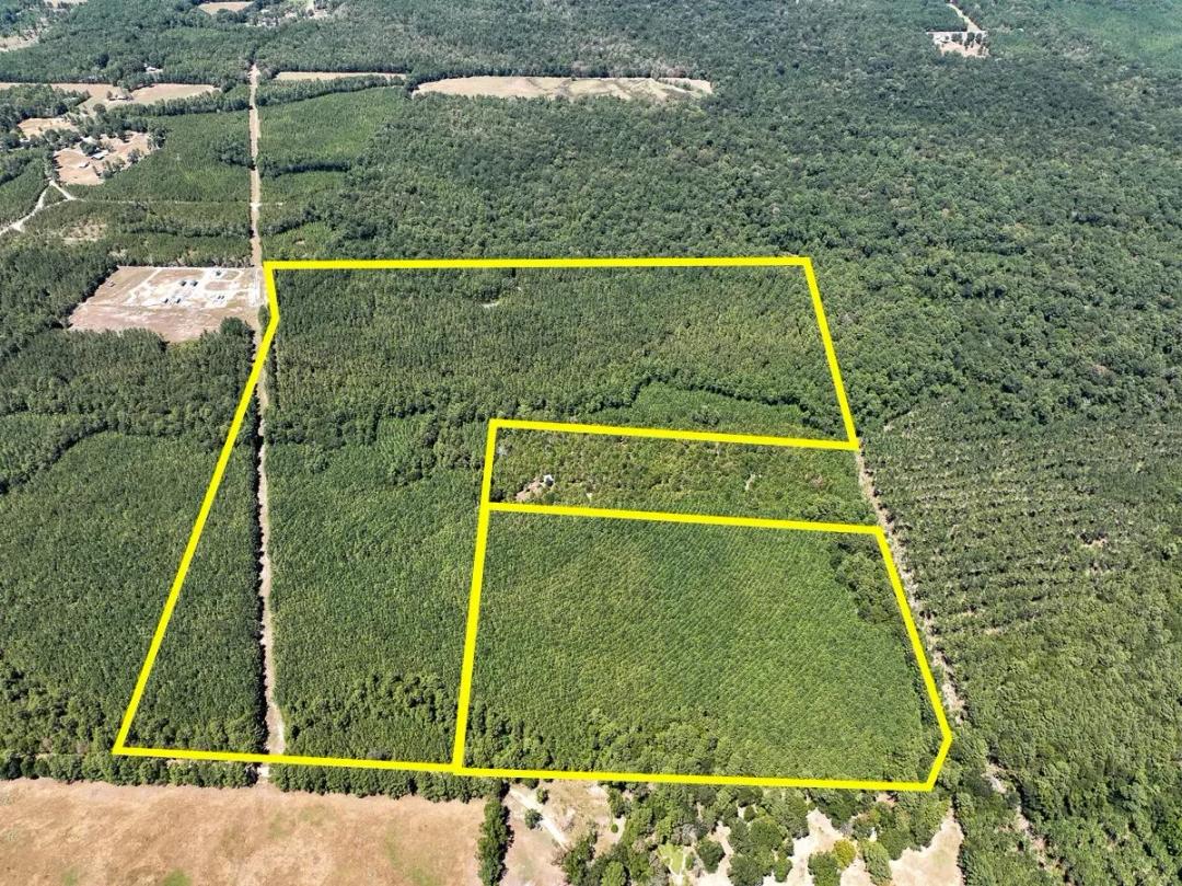 24 Acres | T-16 | Saron