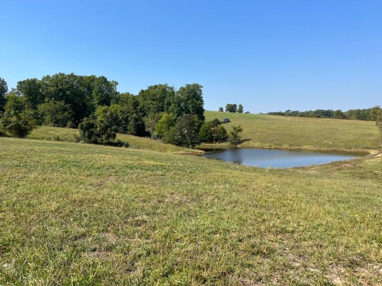 Very Nice 20 Acres in Douglas County