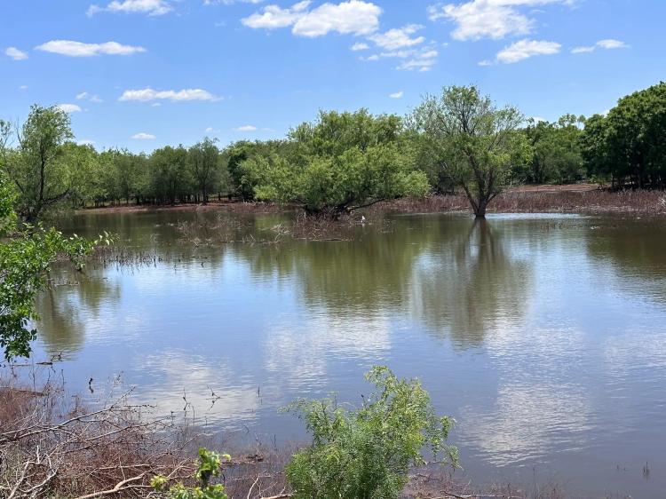 Under Contract!!! 589.863 Ac, Fisher County
