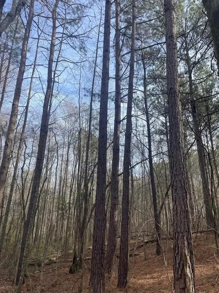 57688122-8