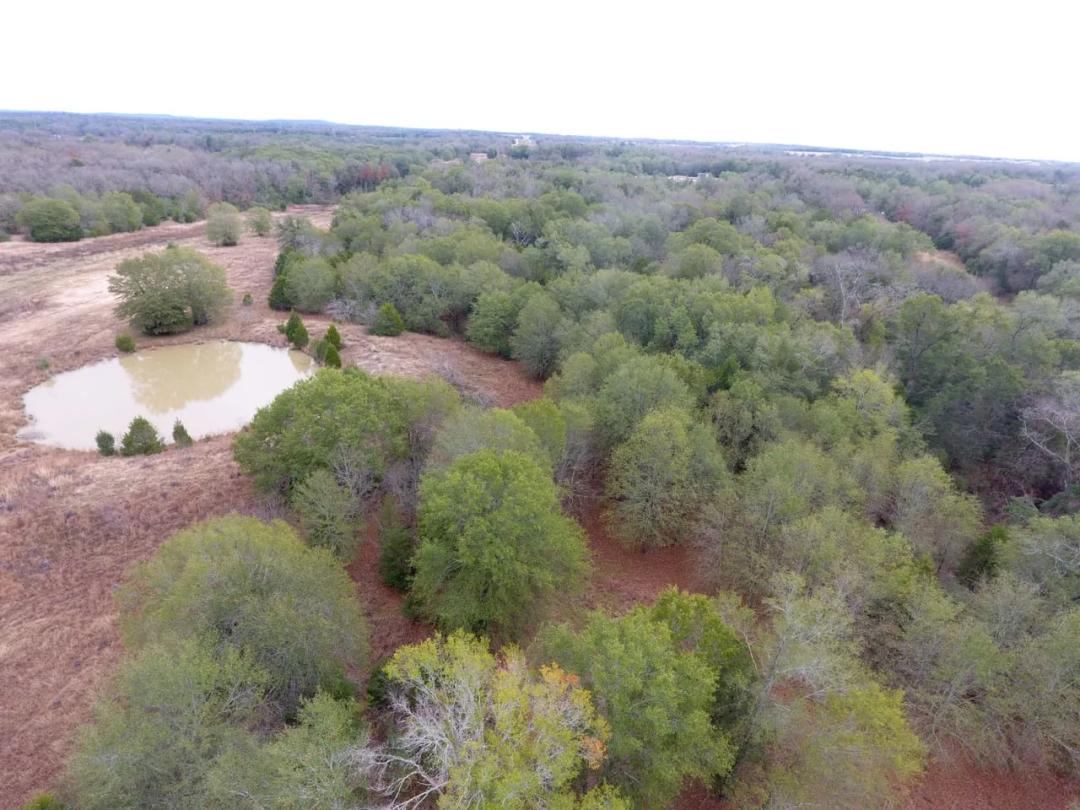 Hog Creek Retreat