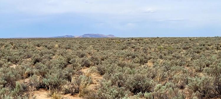 1 acre in Socorro County New Mexico * Mobiles * Modulars * No restrictions
