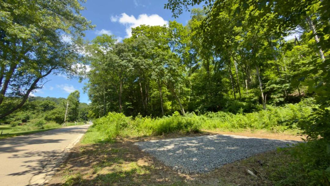 Build Potential, Trophy Whitetail Hunting &amp; Mature Timber