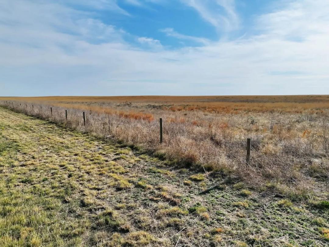 Half Section of CRP located near the Sand Creek National Historic Site