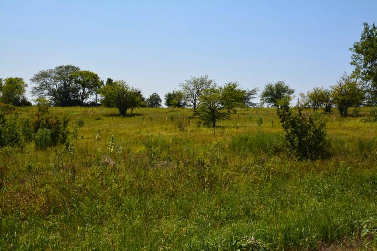 Raeta Estates Lot 11