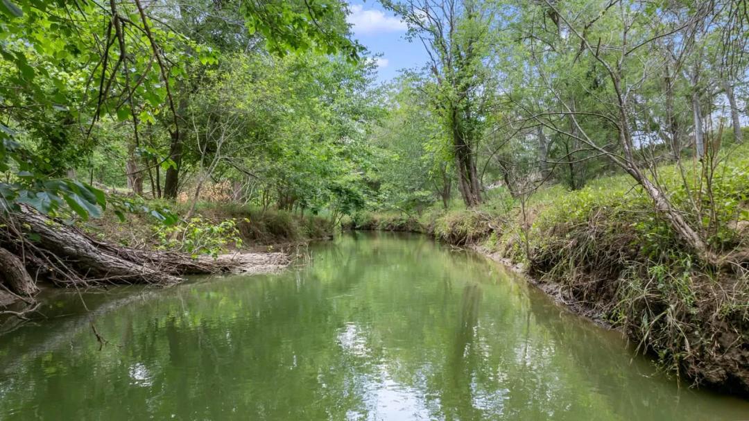 14.23 Ag-Exempt Acres with Creek Frontage