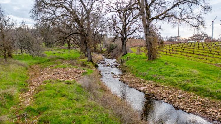 Hidden Creek Vineyard