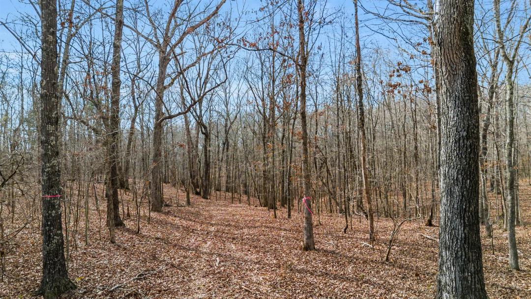 Olde Tennessee Trail 60