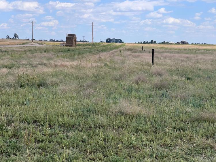 20 ACRE RESIDENTIAL LOT, 2 MILES FROM YUMA, COLORADO CITY LIMITS