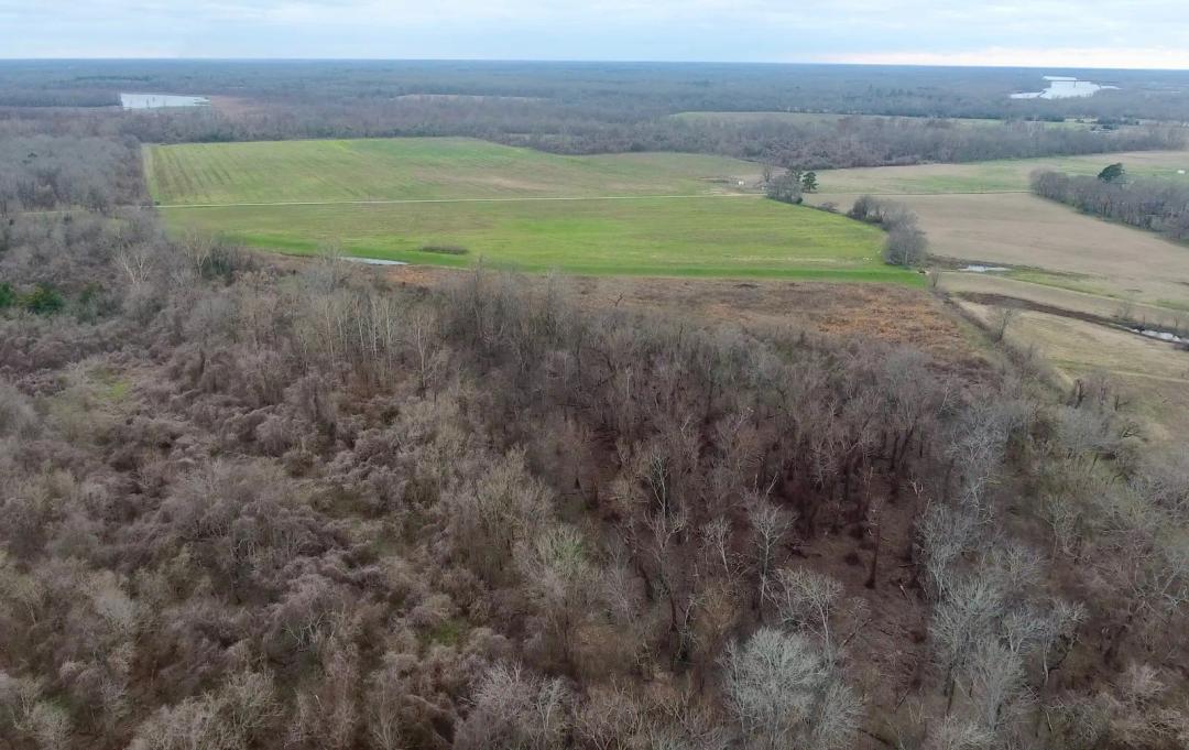 170.00 Acres at 0 Chauffepied Elmer Road