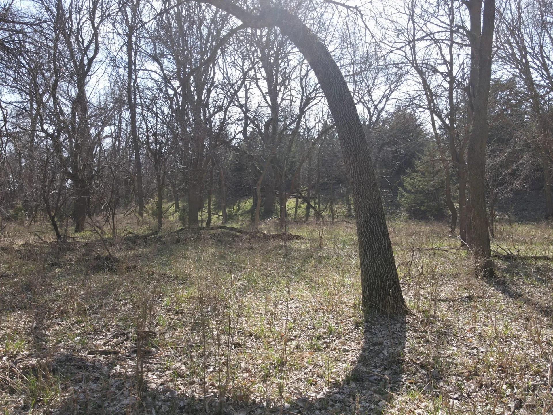 57835308-15