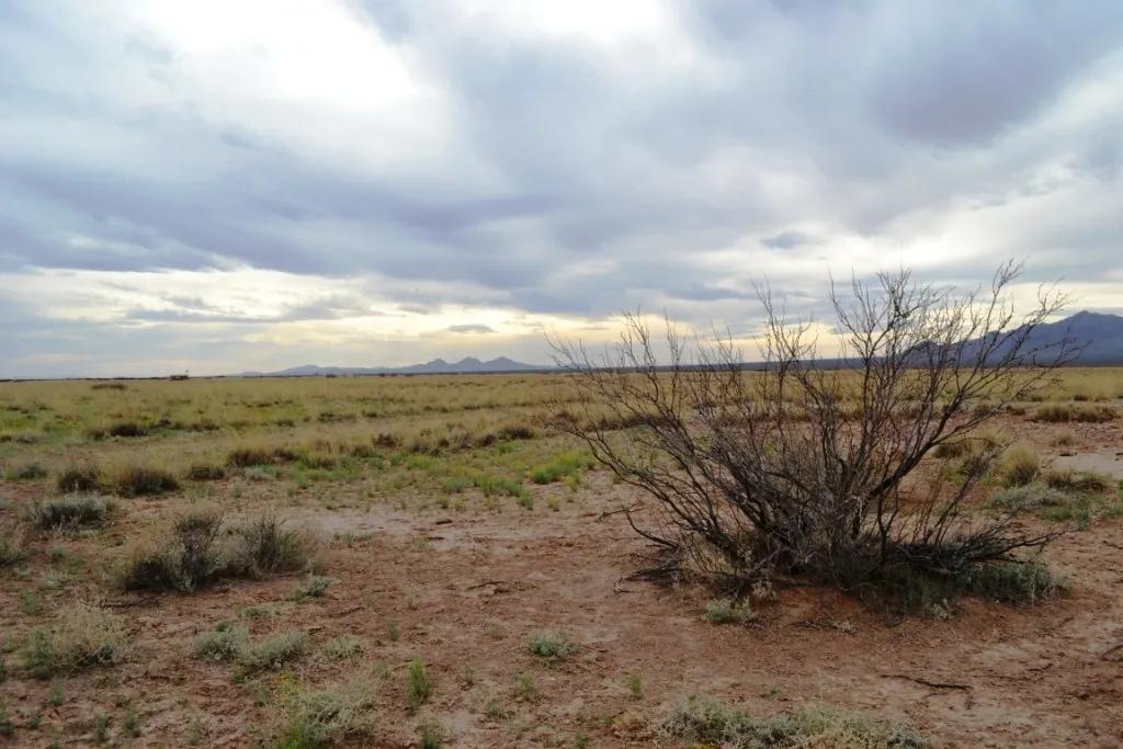 Sunshine Valley Ranchettes * SE of Deming NM * Camp RV Build